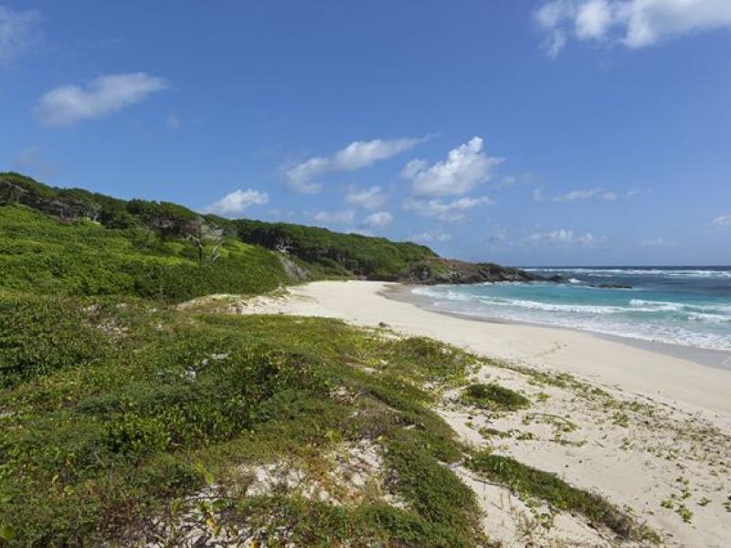 Simplicity , East Coast  