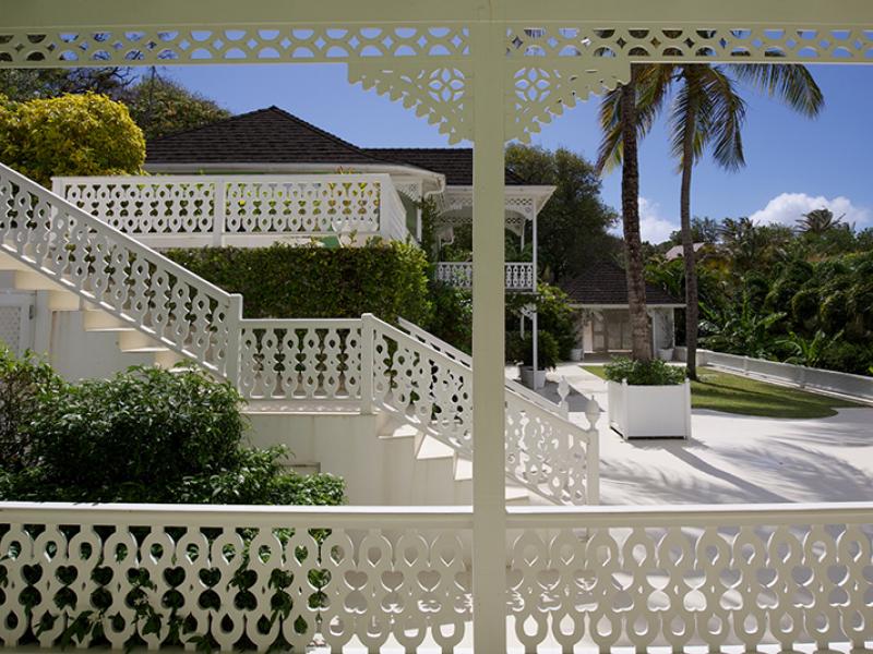 Zinnia , Centre of Island  