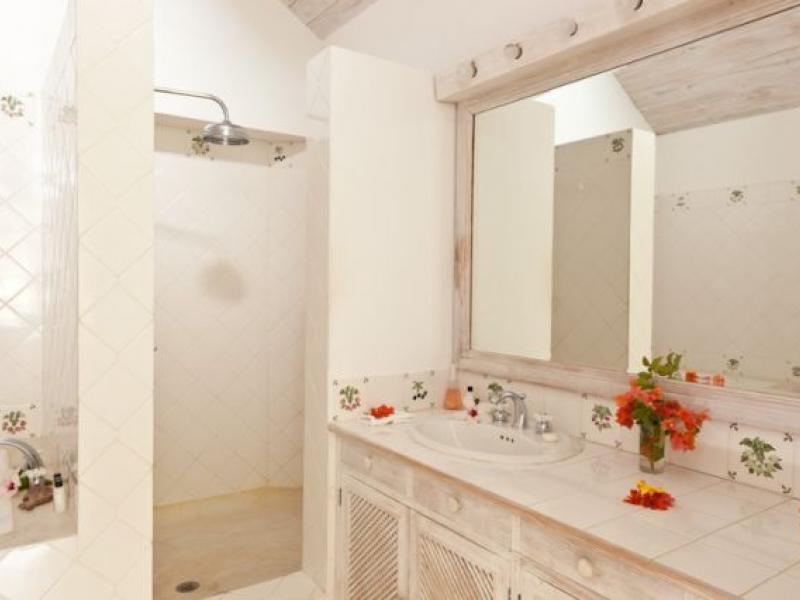 Zinnia , Centre of Island  