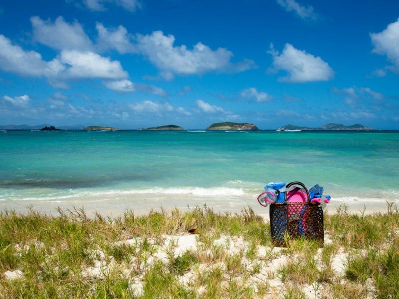 Jacaranda , L'Ansecoy Bay  